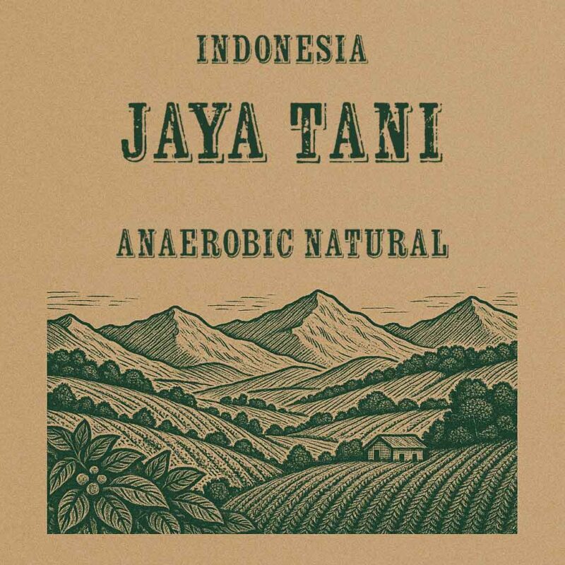 Indonesia Coffee Jaya Tani Anaerobic Natural Green Beans