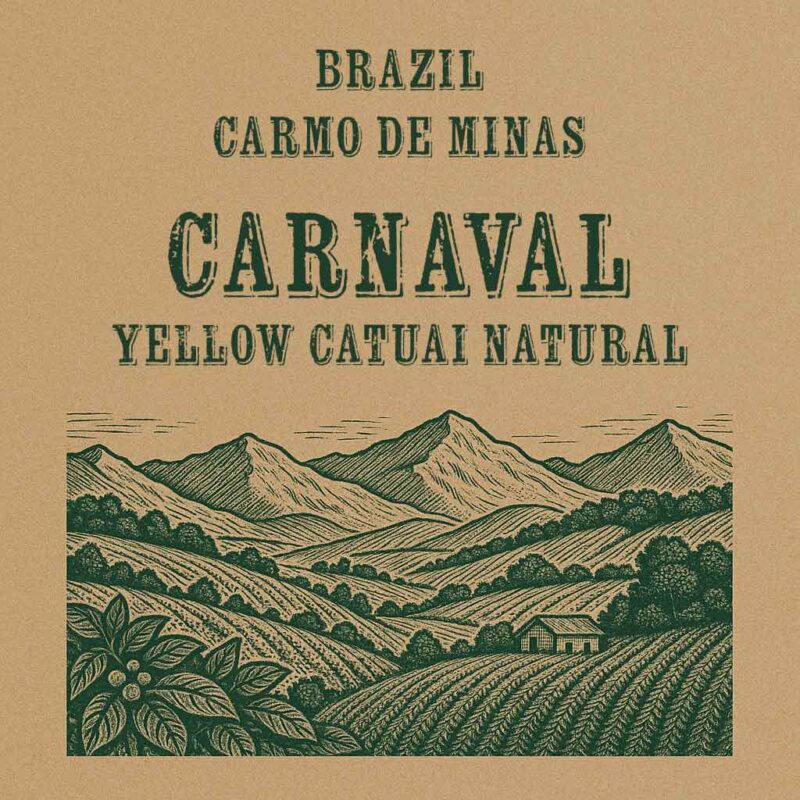 Brazil Carnaval Yellow Catuai Natural Green Coffee Beans