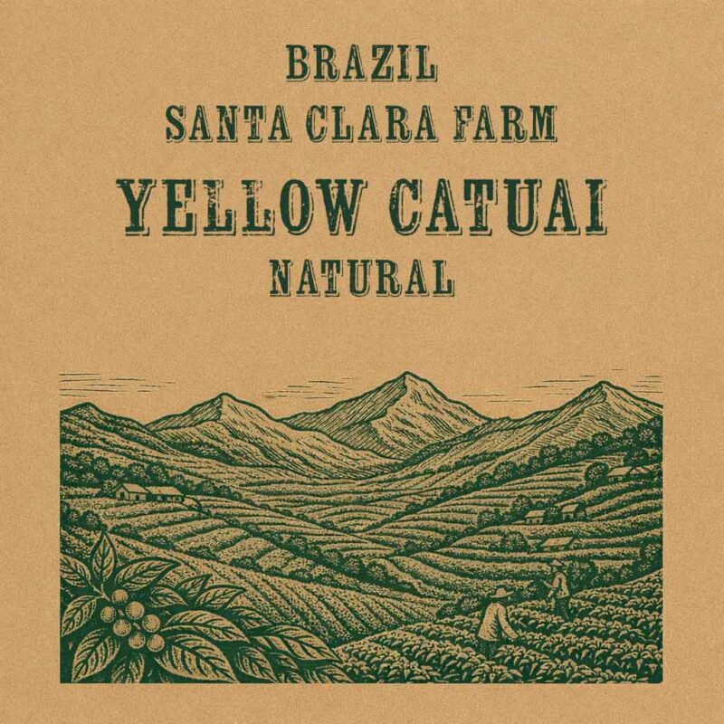Santa Clara Farm Brazil Yellow Catuai Natural Green Coffee Beans