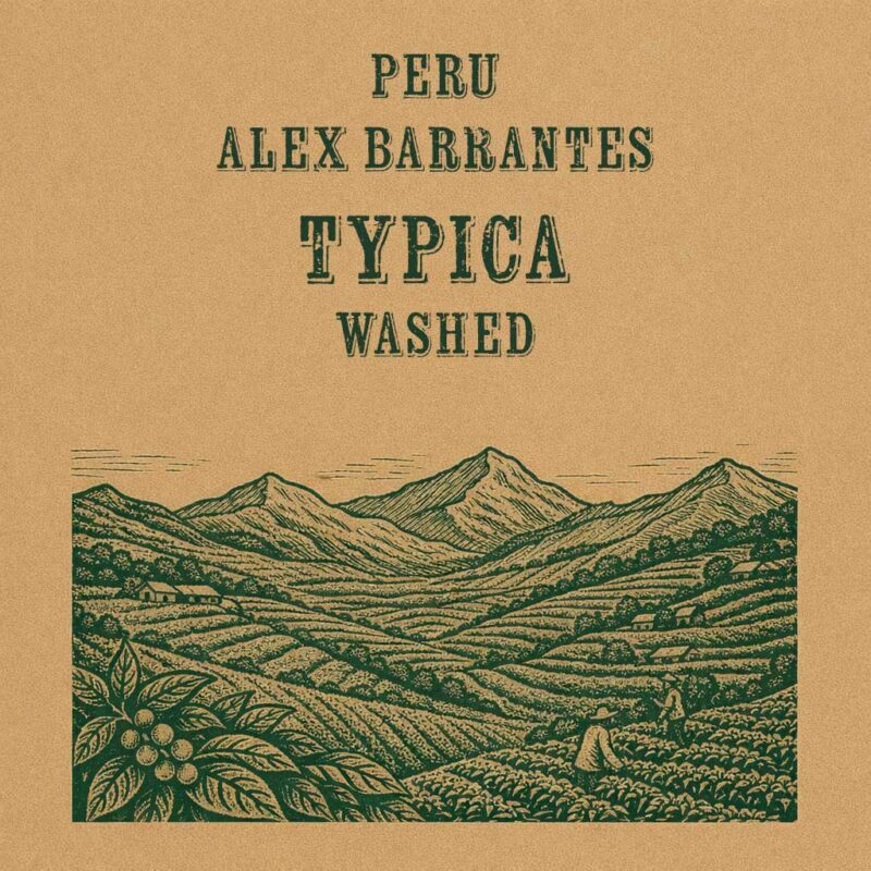 Alex Barrantes Peru Typica Washed